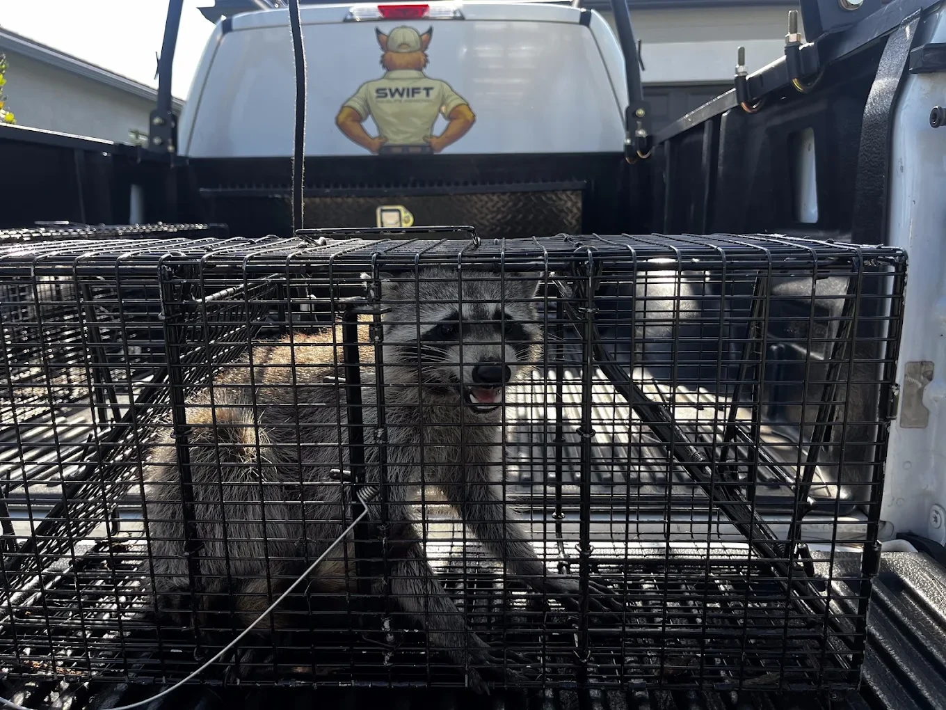 Emergency wildlife removal on the Treasure Coast